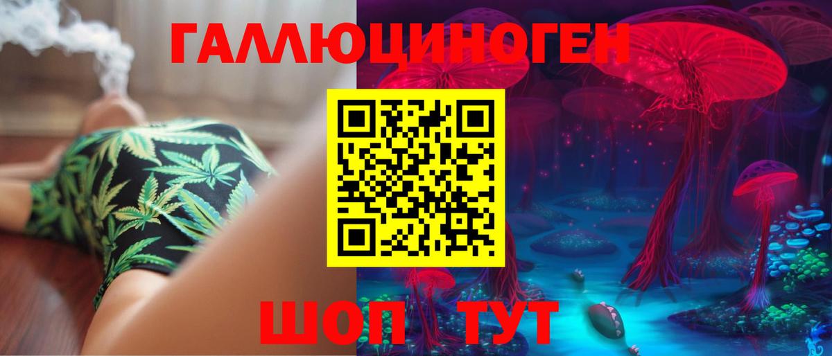 Псилоцибиновые грибы Psilocybe Джанкой